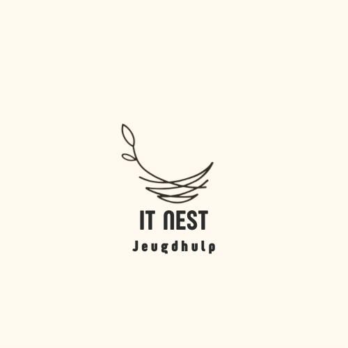 It nest jeugdhulp